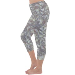 Capri Winter Leggings  Back