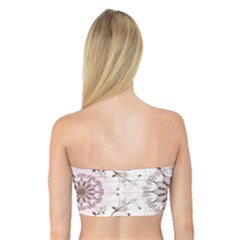 Bandeau Top 