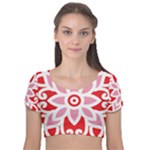 A Red And White Pattern With A Flower On It Velvet Short Sleeve Crop Top 