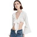 Trumpet Sleeve Cropped Top 