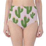 Cuctus  Classic High-Waist Bikini Bottoms