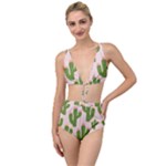 Cuctus  Tied Up Two Piece Swimsuit