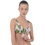 Cuctus  Front Tie Bikini Top