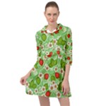 Strawberries Pattern Seamless Mini Skater Shirt Dress