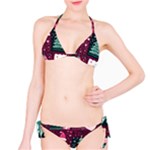 Christmas Santa Claus Classic Bikini Set