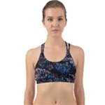 Rocky Lake Reflection  Back Web Sports Bra