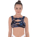 Rocky Lake Reflection  Bandaged Up Bikini Top