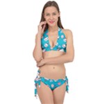 Birtay Cats Bunnies, Koteto Tie It Up Bikini Set