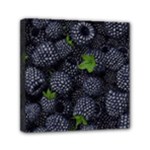 Blackberry Fruit, Fruit Mini Canvas 6  x 6  (Stretched)