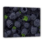 Blackberry Fruit, Fruit Canvas 14  x 11  (Stretched)