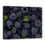 Blackberry Fruit, Fruit Canvas 20  x 16  (Stretched)