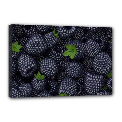 Blackberry Fruit, Fruit Canvas 18  x 12  (Stretched) from ArtsNow.com