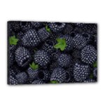 Blackberry Fruit, Fruit Canvas 18  x 12  (Stretched)