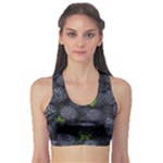 Blackberry Fruit, Fruit Fitness Sports Bra