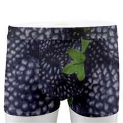 Men s Boxer Briefs 