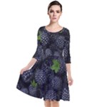 Blackberry Fruit, Fruit Quarter Sleeve Waist Band Dress