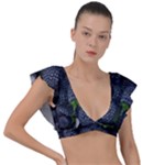 Blackberry Fruit, Fruit Plunge Frill Sleeve Bikini Top