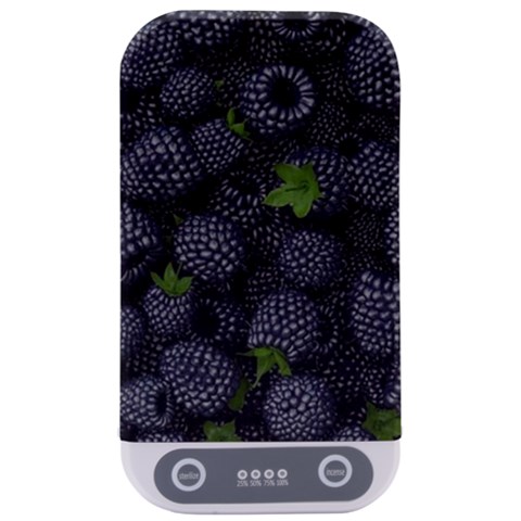 Blackberry Fruit, Fruit Sterilizers from ArtsNow.com