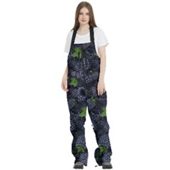 Women s Front Zip Ski And Snowboard Bib Pants 