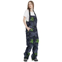 Women s Front Zip Ski And Snowboard Bib Pants 