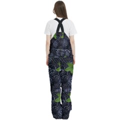 Women s Front Zip Ski And Snowboard Bib Pants 