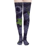 Blackberry Fruit, Fruit Thigh High Stockings