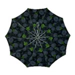 Blackberry Fruit, Fruit Automatic Folding Umbrella with Case (Large)