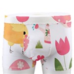 Cute Easter Bunny, Koteto, Animal, Baby Men s Boxer Briefs