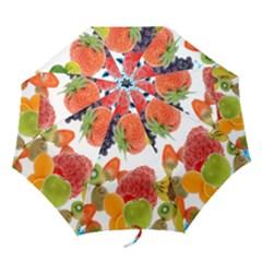 Folding Umbrella 