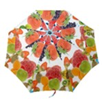 Fruits, Drip, Fruit, Paint, Spring Folding Umbrellas