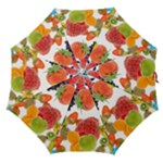 Fruits, Drip, Fruit, Paint, Spring Straight Umbrellas