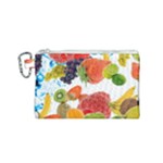 Fruits, Drip, Fruit, Paint, Spring Canvas Cosmetic Bag (Small)