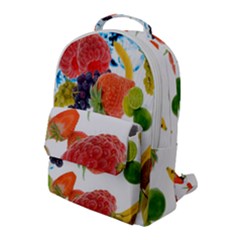 Flap Pocket Backpack (Large) 