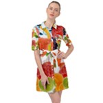 Fruits, Drip, Fruit, Paint, Spring Belted Shirt Dress