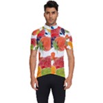 Fruits, Drip, Fruit, Paint, Spring Men s Short Sleeve Cycling Jersey