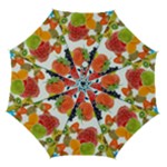 Fruits, Drip, Fruit, Paint, Spring Automatic Folding Umbrella with Case (Medium)