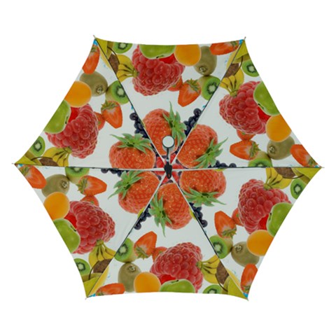 Fruits, Drip, Fruit, Paint, Spring Automatic Folding Umbrella with Case (Small) from ArtsNow.com