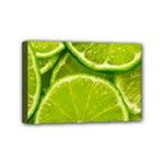 Lime Slices Close Up, Fresh, Fruit, Green Lemon Mini Canvas 6  x 4  (Stretched)