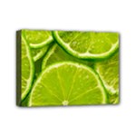 Lime Slices Close Up, Fresh, Fruit, Green Lemon Mini Canvas 7  x 5  (Stretched)