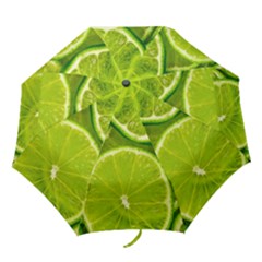 Folding Umbrella 