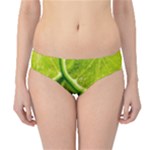 Lime Slices Close Up, Fresh, Fruit, Green Lemon Hipster Bikini Bottoms