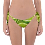 Lime Slices Close Up, Fresh, Fruit, Green Lemon Reversible Bikini Bottoms