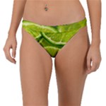 Lime Slices Close Up, Fresh, Fruit, Green Lemon Band Bikini Bottoms