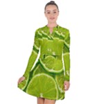 Lime Slices Close Up, Fresh, Fruit, Green Lemon Long Sleeve Panel Dress