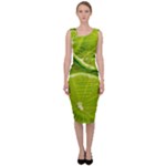 Lime Slices Close Up, Fresh, Fruit, Green Lemon Sleeveless Pencil Dress