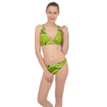 Lime Slices Close Up, Fresh, Fruit, Green Lemon Classic Banded Bikini Set 