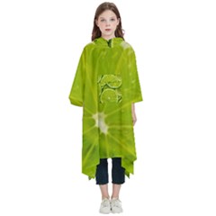 Lime Slices Close Up, Fresh, Fruit, Green Lemon Kids  Hooded Rain Ponchos from ArtsNow.com