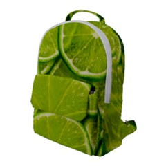 Flap Pocket Backpack (Large) 