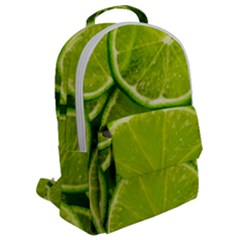 Flap Pocket Backpack (Large) 