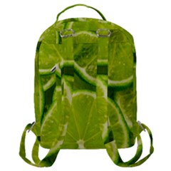 Flap Pocket Backpack (Large) 